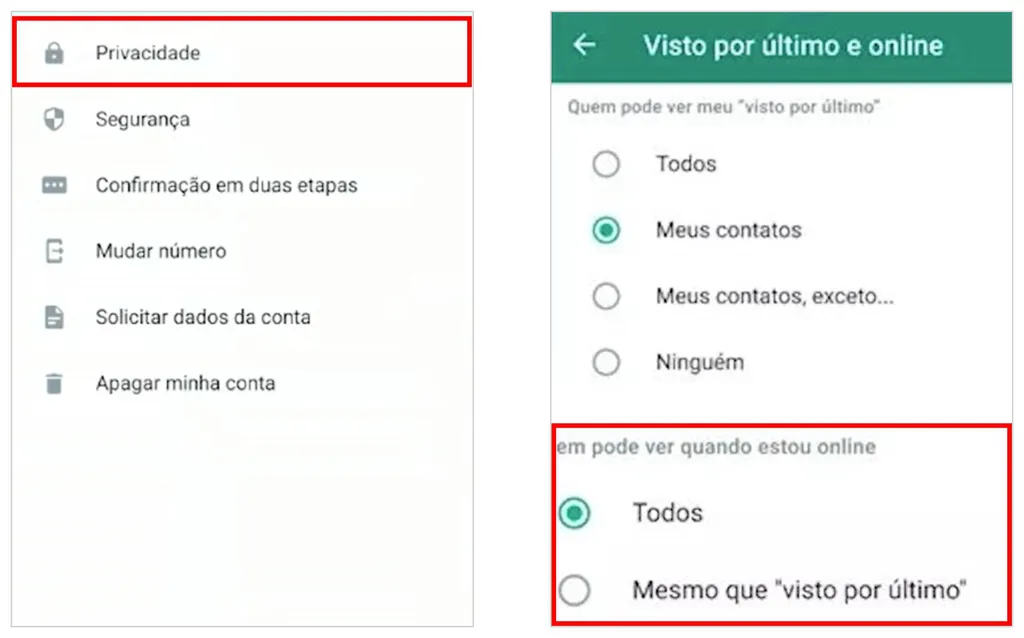 Descubra Como Tirar o Online do WhatsApp!